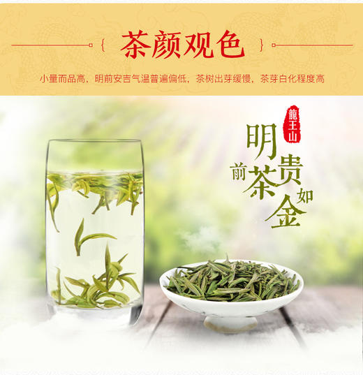 龙王山安吉白茶正宗绿茶明前茶礼盒装龙尊系特级茶叶200g 商品图8