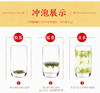 龙王山安吉白茶正宗明前茶大龙王礼盒装精品茶叶200g 商品缩略图7