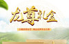 龙王山安吉白茶正宗绿茶明前茶礼盒装龙尊系特级茶叶200g 商品缩略图9