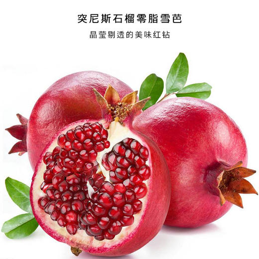石榴（接骨木） 商品图1