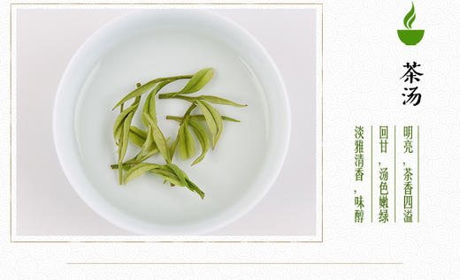 龙王山安吉白茶正宗绿茶明前茶礼盒装龙尊系特级茶叶200g 商品图12