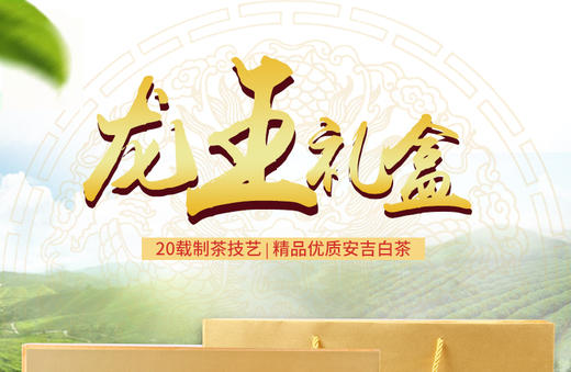 龙王山安吉白茶正宗明前茶大龙王礼盒装精品茶叶200g 商品图9