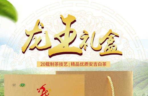 龙王山安吉白茶小龙王正宗明前茶烟盒礼盒装96g 商品图4