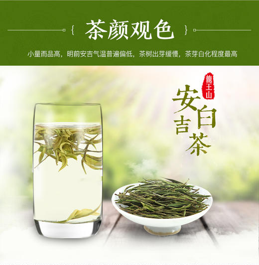 龙王山安吉白茶100克袋装 雨前二级绿茶春茶 原产地 商品图1