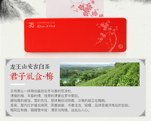 龙王山安吉白茶正宗明前茶礼盒装（梅）红色精品茶叶100g 商品图3