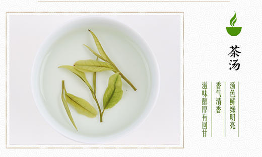 龙王山安吉白茶100克袋装 雨前二级绿茶春茶 原产地 商品图2