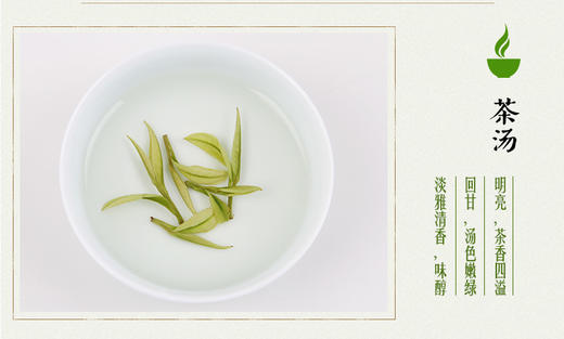 龙王山100g安吉白茶君子兰礼盒系列正宗特级罐装茶叶 商品图6