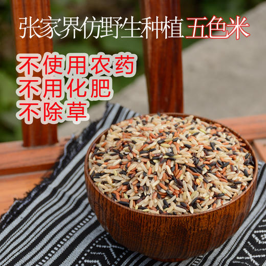 张家界老种子五色糙米  红/黑/白胚芽米 土著农耕   商品图6