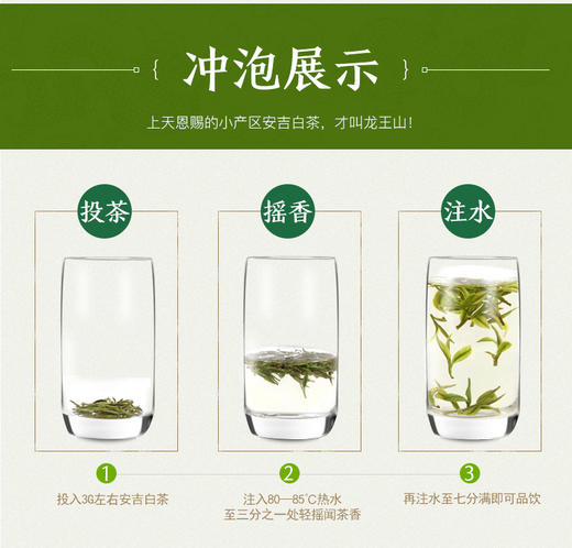 龙王山100g安吉白茶君子兰礼盒系列正宗特级罐装茶叶 商品图11