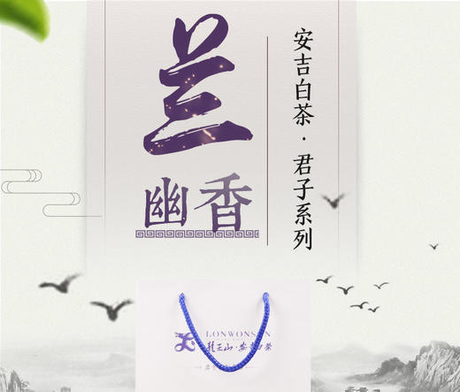 龙王山100g安吉白茶君子兰礼盒系列正宗特级罐装茶叶 商品图4