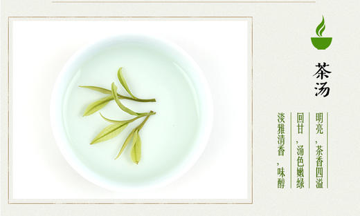 龙王山 • 安吉白茶君子 • 竹礼盒105g 商品图4