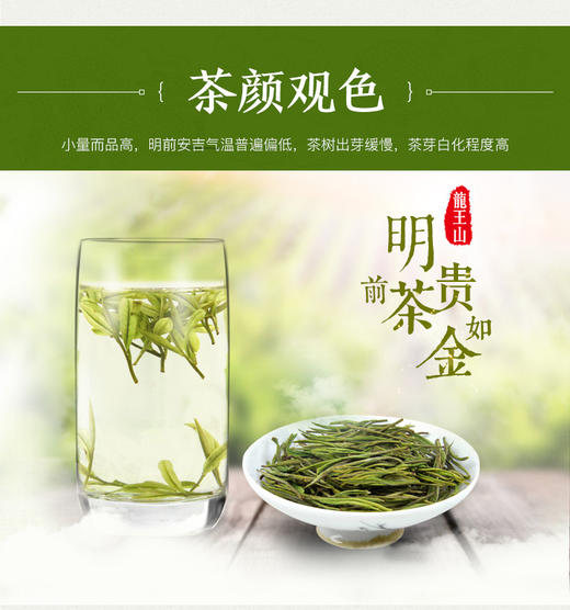 龙王山 • 安吉白茶君子 • 竹礼盒105g 商品图8