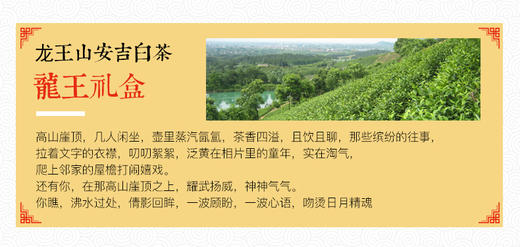 龙王山安吉白茶小龙王正宗明前茶烟盒礼盒装96g 商品图1