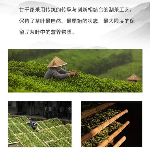 2012年金罐·白毫银针(罐) 商品图8