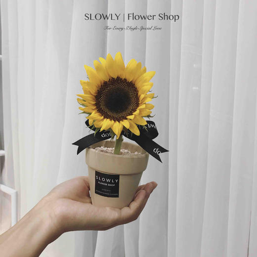 可爱向日葵小花盆 商品图0