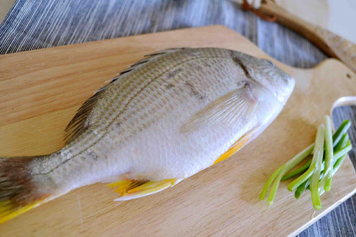 野生 黃翅魚3斤裝(單條重300-400g)肉質佳美 營養豐富 商品圖0