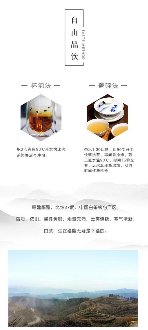 2012年金罐·白毫银针(罐) 商品图6