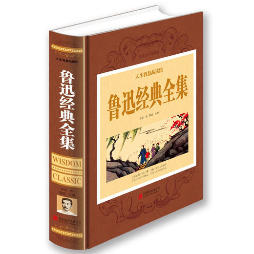 鲁迅经典全集 呐喊 彷徨 狂人日记 阿Q正传 祝福 杂文散文图书作品文学书籍畅销书排行榜 现代/当代小说 人生必读的 鲁迅的书全套 商品图0