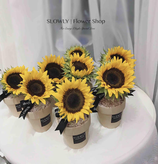 可爱向日葵小花盆 商品图1