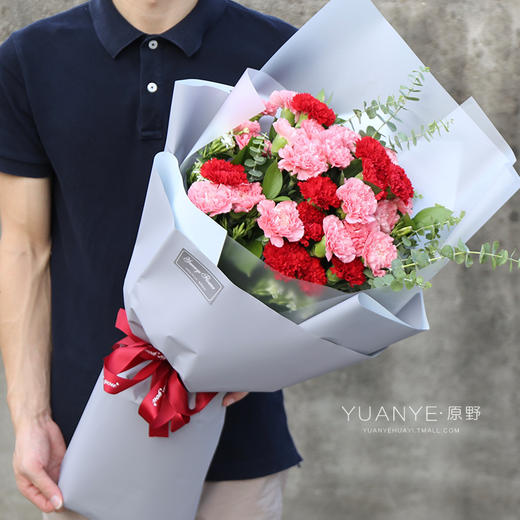 （3款可选）26朵康乃馨花束 商品图1