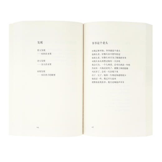 《我是你流浪过的一个地方》海桑诗集 商品图4