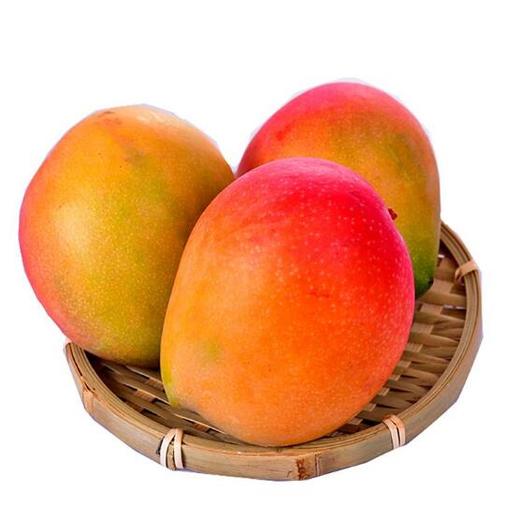 第五期预售凯特王妃芒果16元个