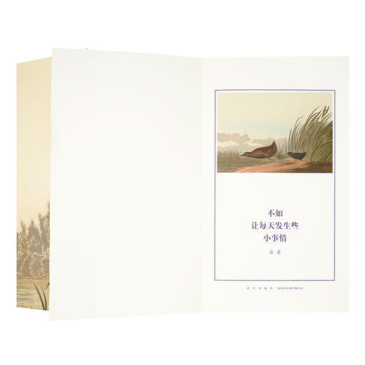 《不如让每天发生些小事情》海桑诗集 商品图2