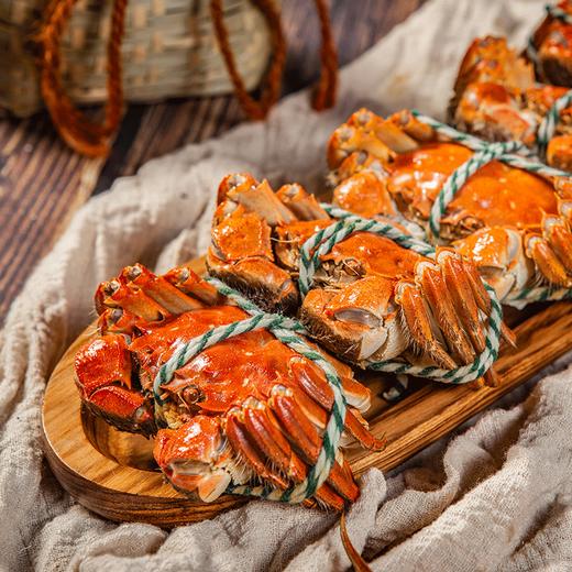 【直送到家】金秋上新 新孟河大闸蟹礼品卡  江浙沪包邮 （多种规格选择）只只精选 足量好蟹（下单后48小时内发货） 商品图6