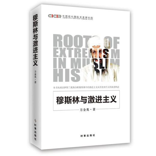 穆斯林与激进主义 商品图0