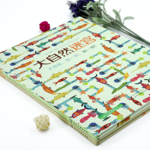 大自然专注力培养地板书（套装共2册） [3-6岁] 商品图4
