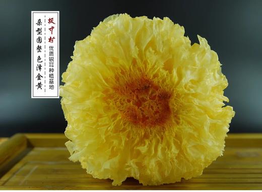 福建古田 坂中村雪耳/糯耳银耳 CCTV2倾情推荐 商品图4