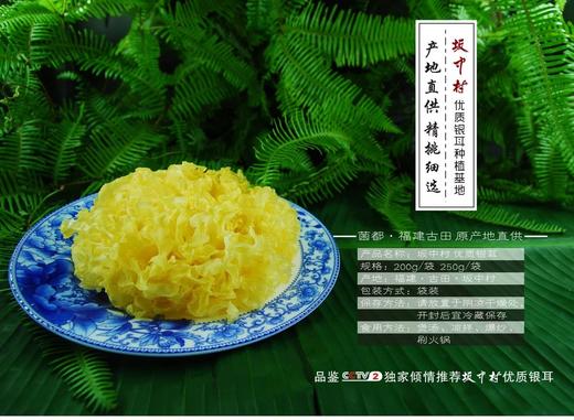 福建古田 坂中村雪耳/糯耳银耳 CCTV2倾情推荐 商品图2