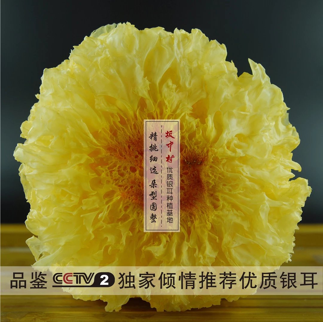 福建古田 坂中村雪耳/糯耳银耳 CCTV2倾情推荐