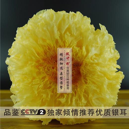 福建古田 坂中村雪耳/糯耳银耳 CCTV2倾情推荐 商品图0