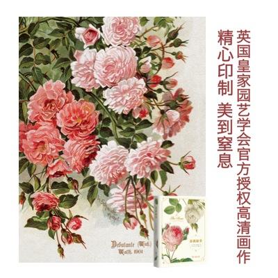 蔷薇秘事  商务印书馆 商品图3