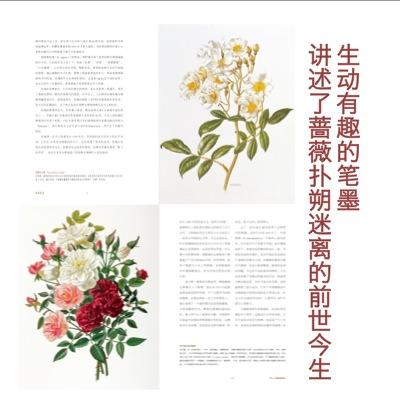 蔷薇秘事  商务印书馆 商品图2