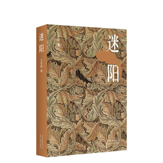 王宏图：迷阳 商品图0