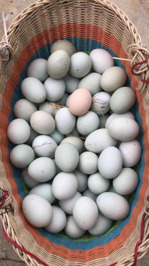 林下散养鸡蛋 每份30枚 排单发货  温度高，暂时不发省外 商品图1