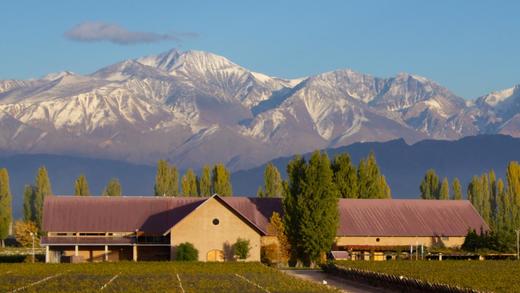 德米诺酒庄本玛科赤霞珠红葡萄酒 Dominio del Plata BenMarco Cabernet Sauvignon, Mendoza, Argentina 商品图1