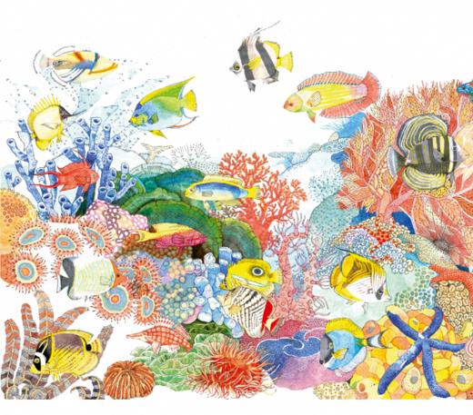 手绘自然长卷书《一卷一视界》：《海洋狂想曲》 商品图3