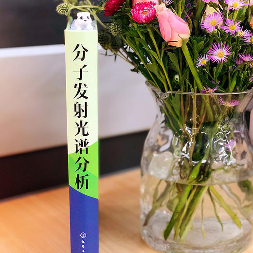 分子发射光谱分析 商品图2