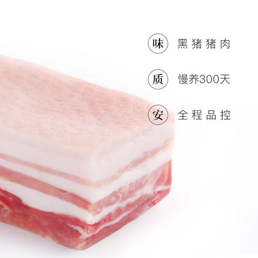 【冷冻】网易味央黑猪五花肉350g 商品图1