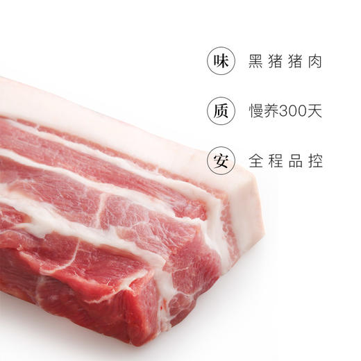 【冷冻】网易味央黑猪前腿肉350g*2 商品图1