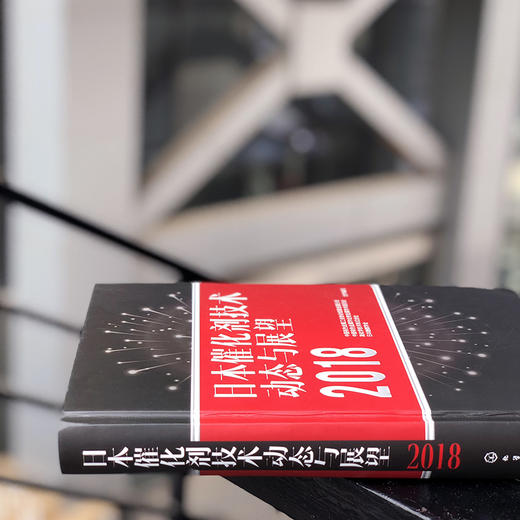 日本催化剂技术动态与展望2018 商品图2