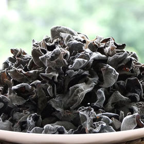 【精选】野生椴木耳