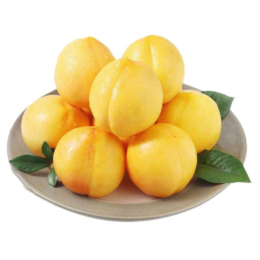 金黄后黄桃个大核小脆甜多汁现摘现发新鲜直达