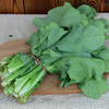 苦麻菜（400g）因季节原因，不用化肥的叶菜会略带苦味哦！ 商品缩略图1