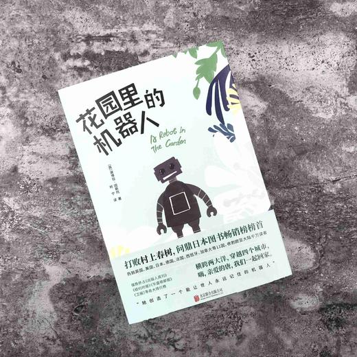 花园里的机器人 商品图2