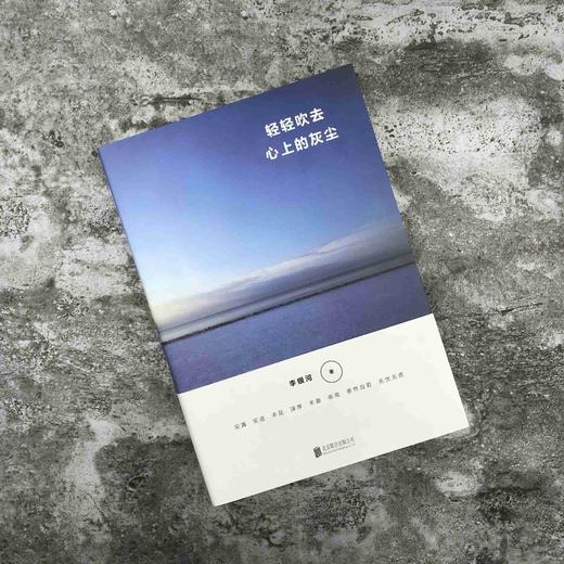 轻轻吹去心上的灰尘 商品图1