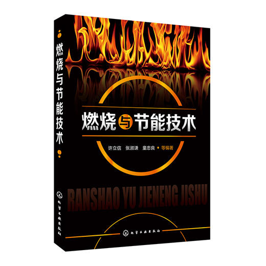 燃烧与节能技术 商品图0